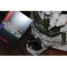 Cr&ocirc;nicas de um Pastor Gay