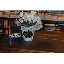 Cr&ocirc;nicas de um Pastor Gay