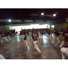 A capoeira recebe "Poemas para Gingar"